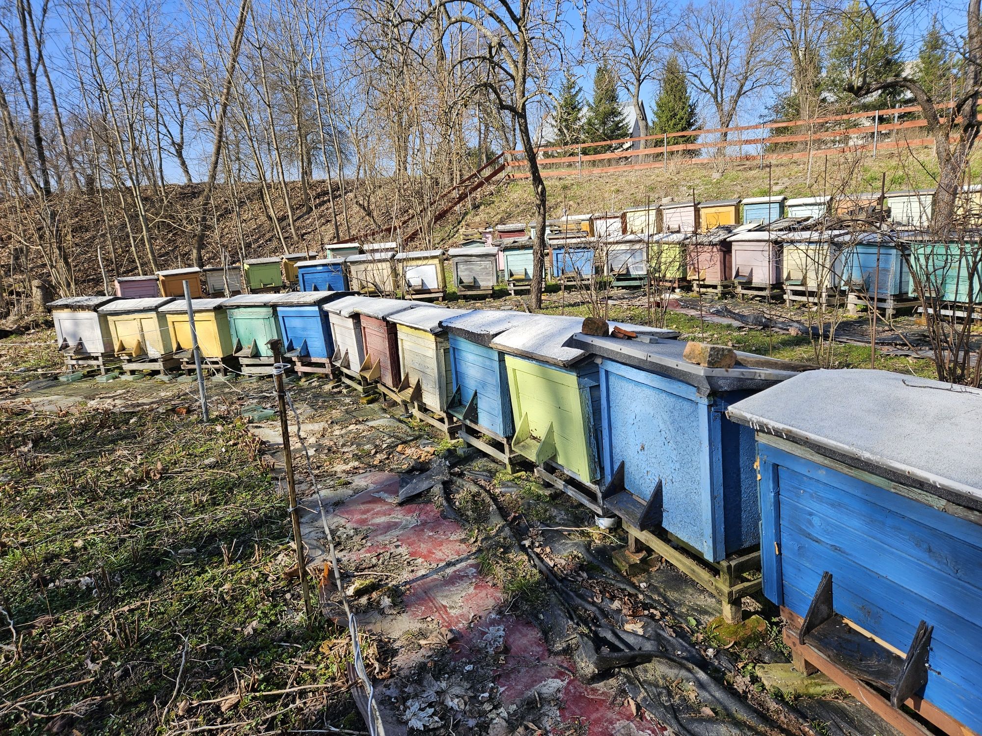 Pasieka Ule Pszczoły - ule warszawskie poszerzane