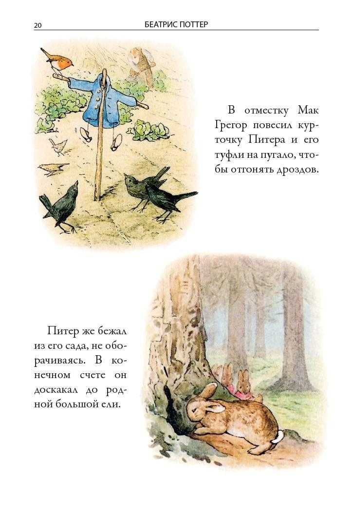 Беатрис Поттер. Все сказки о кролике Питере. СЗКЭО