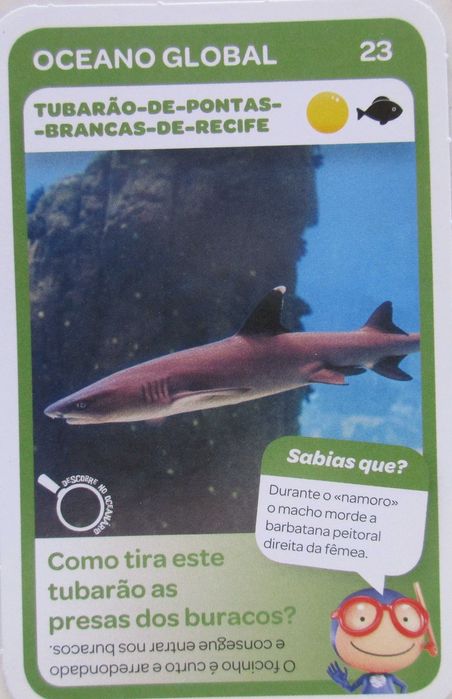 Super Animais 2 - - - Vida Marinha - Cartas Soltas Pingo Doce - Cromos