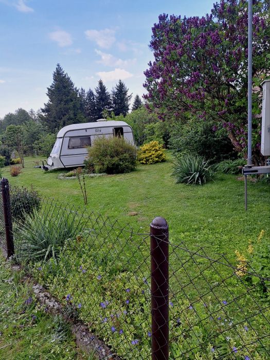 Ogróek działkowy z widokiem na Góry Złote - Złoty Stok - 750m2