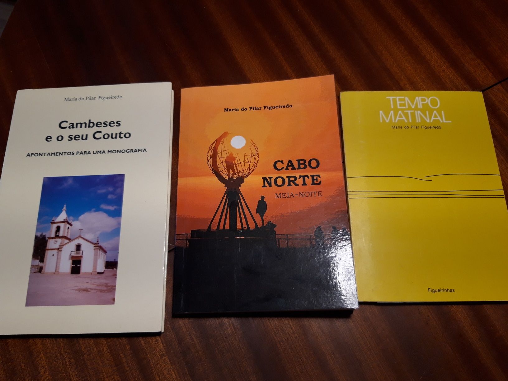 7 livros de Maria do Pilar Figueiredo