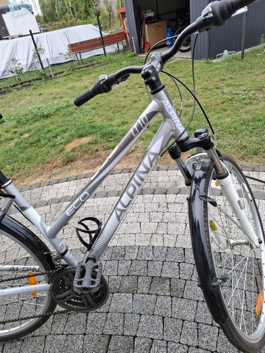 Rower Alpina eco