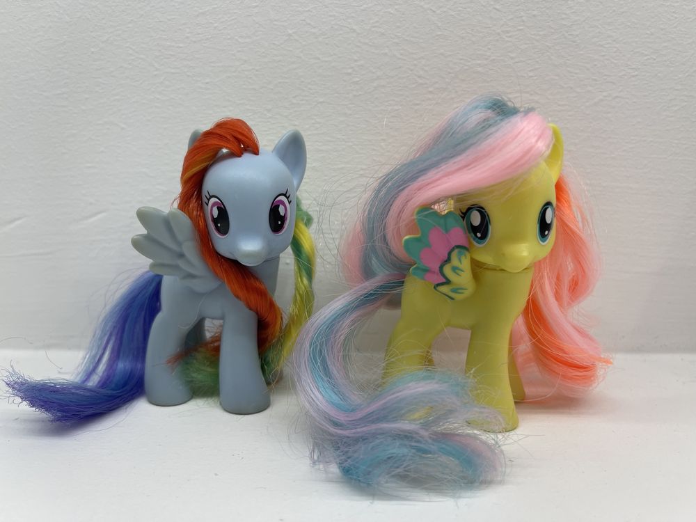 Rainbow Dash i Fluttershy koniki z My Little Pony g4