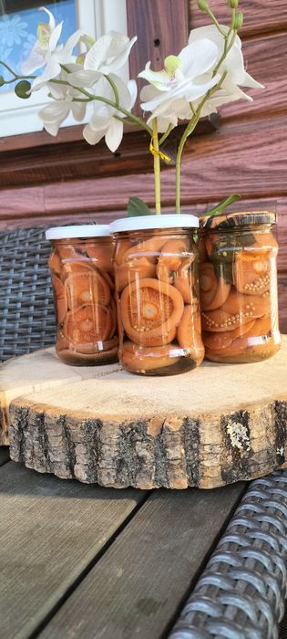 Grzyby marynowane rydze prawdziwki