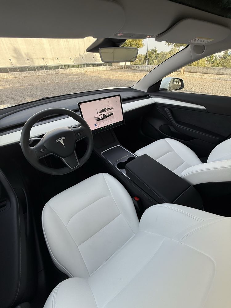 Tesla Long range Dual motor