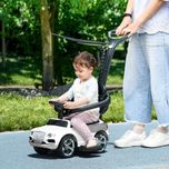 AIYAPLAY Pojazd na Biegunach z Rączką do Pchania 3-w-1
