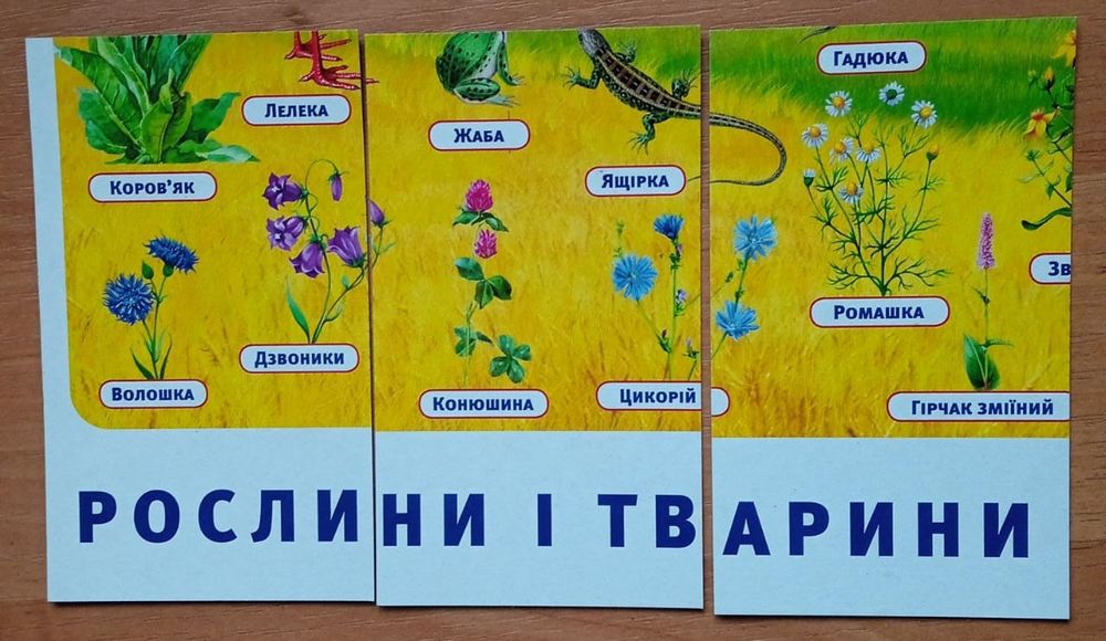 Гра "Екосистеми"