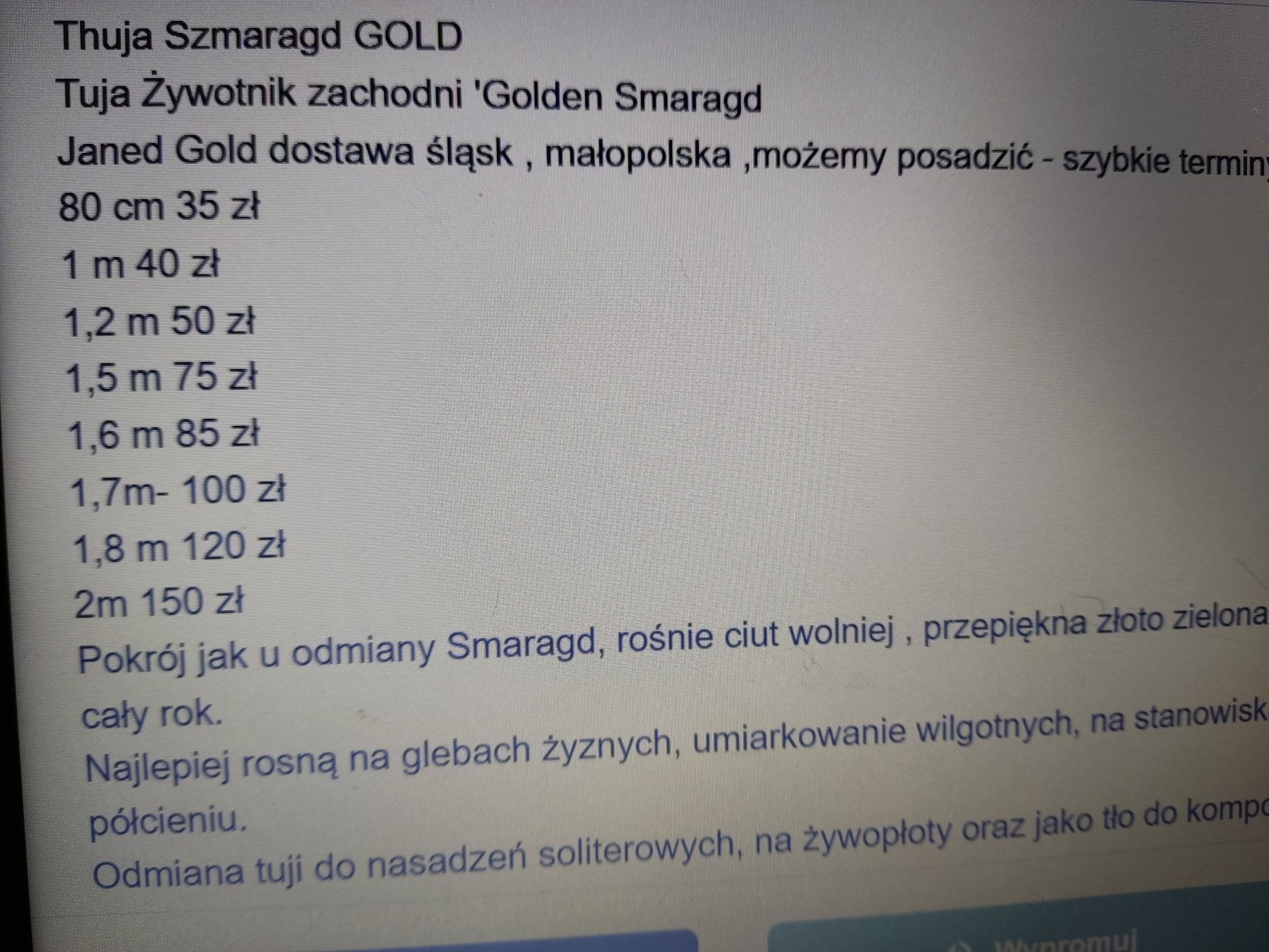 Tuja ,tuje Golden Szmaragd -Janed Gold Transport