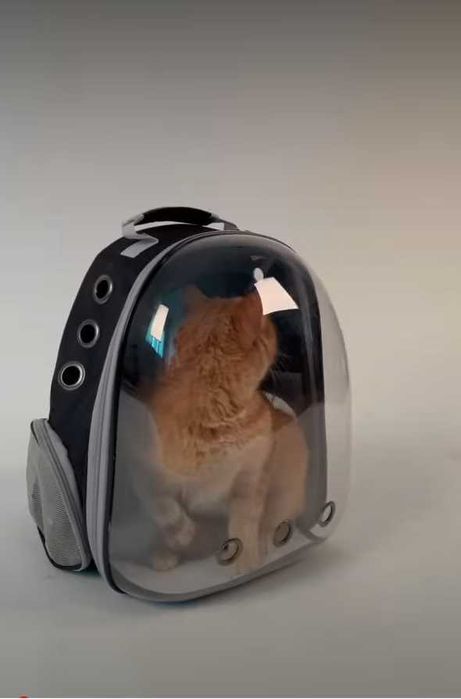 Рюкзак переноска для транспортування прозорий для собак котів гризунів