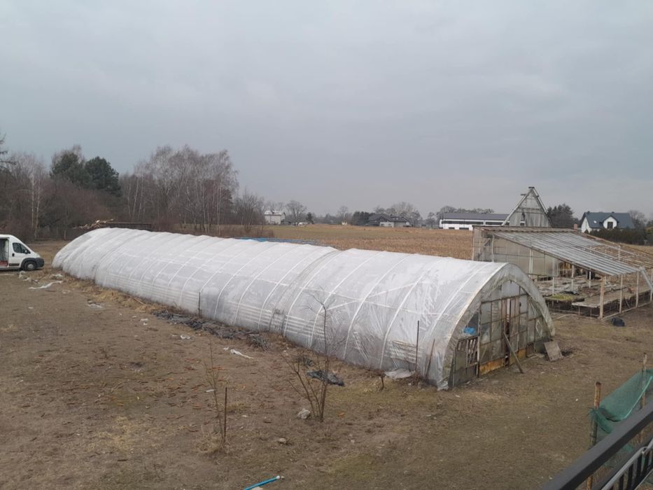 Tunel foliowy konstrukcja metalowa