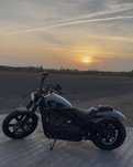 Harley-Davidson Softail Street Bob Harley Davidson Street Bob 114 FXBBS 2024 - zarejestrowany w PL