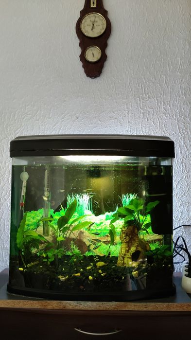 Овальный аквариум без швов на 36л