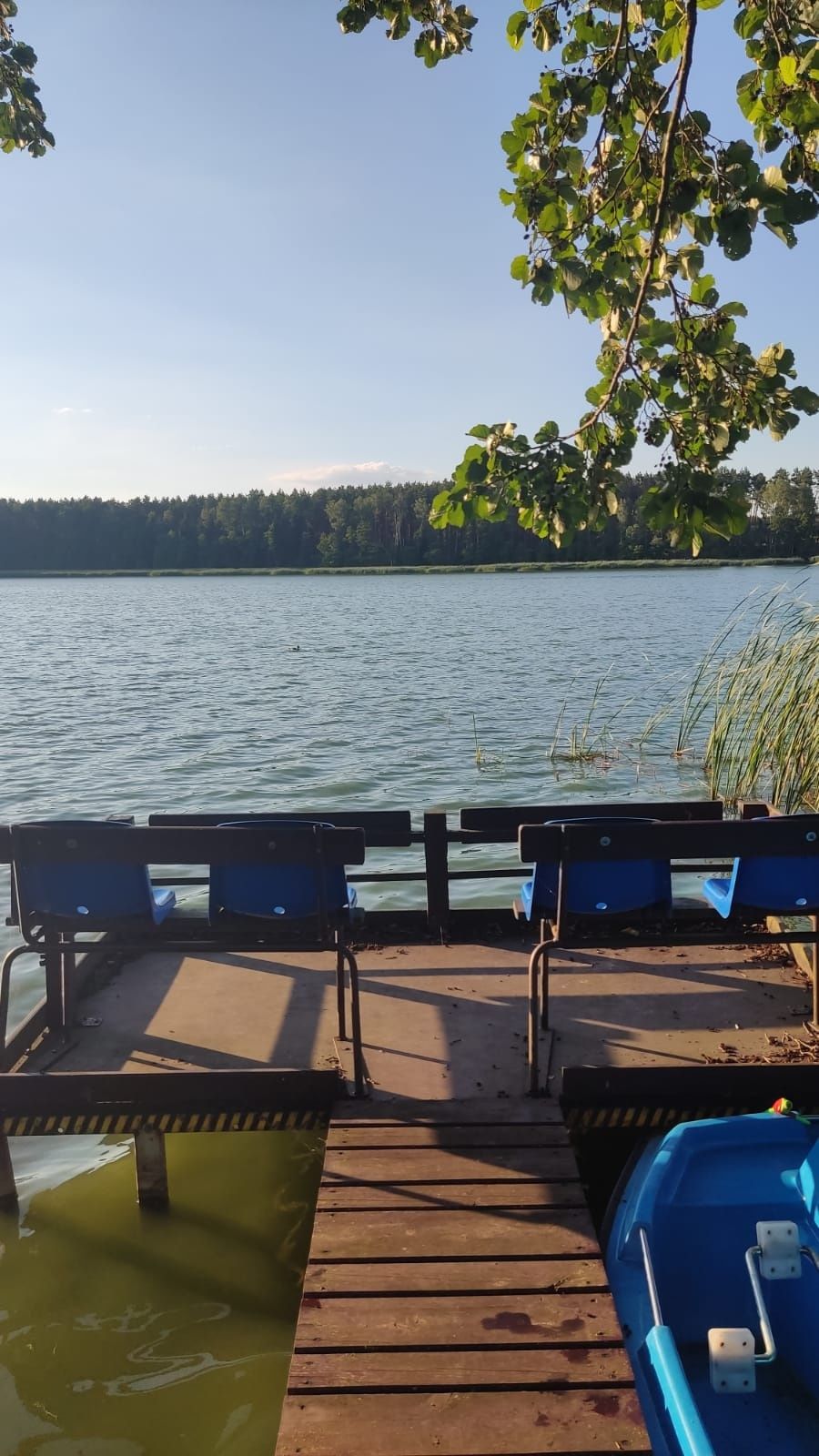 Domek letniskowy w Białej, Puszcza Notecka