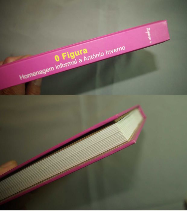 O Figura - Homenagem informal a António Inverno - Aljezur 2008