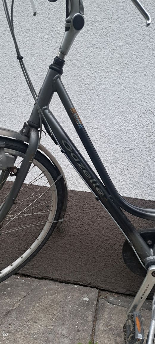 Rower Gazelle Davos