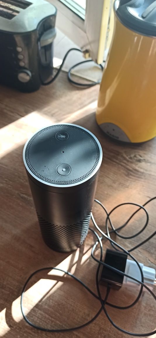 Умная колонка от Amazon ответит на ваши вопросы, только английский яз.