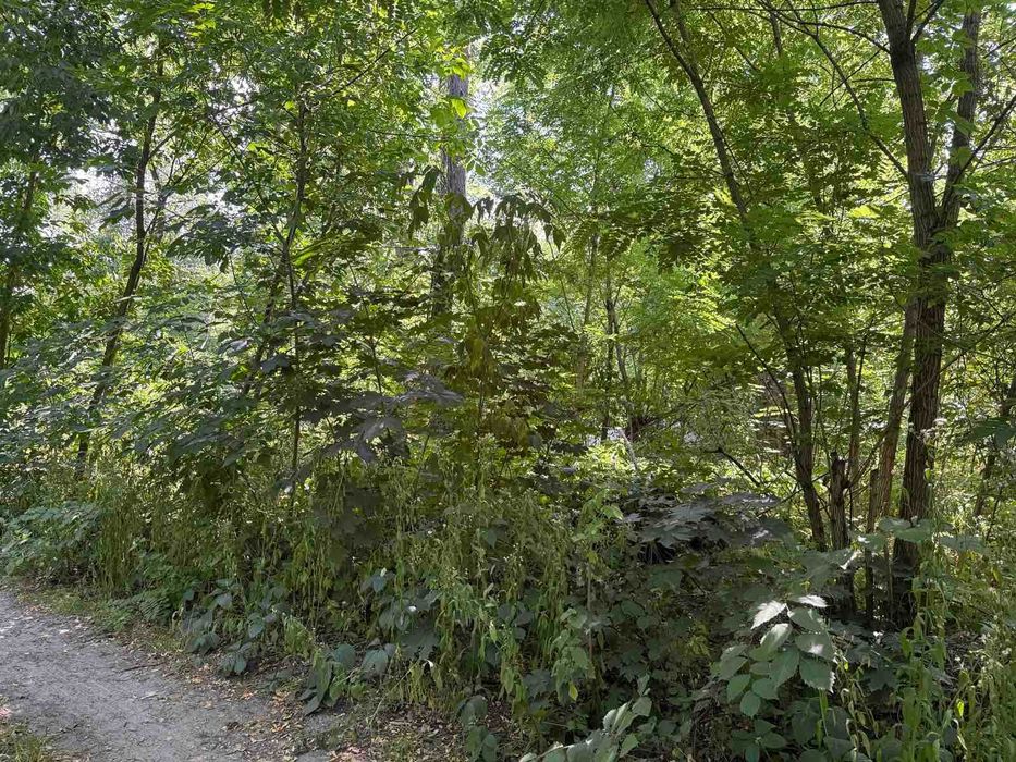 Земельна ділянка, Київ, с. Катеринівка, Чалого 20 сот. під будівництво