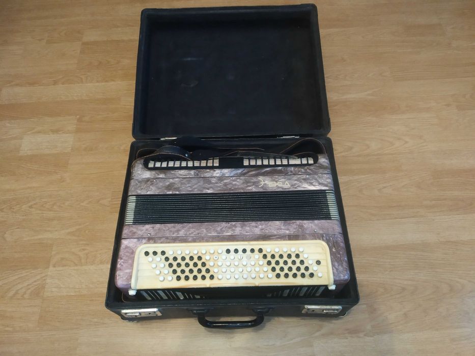 Баян "Етюд" (Тула)