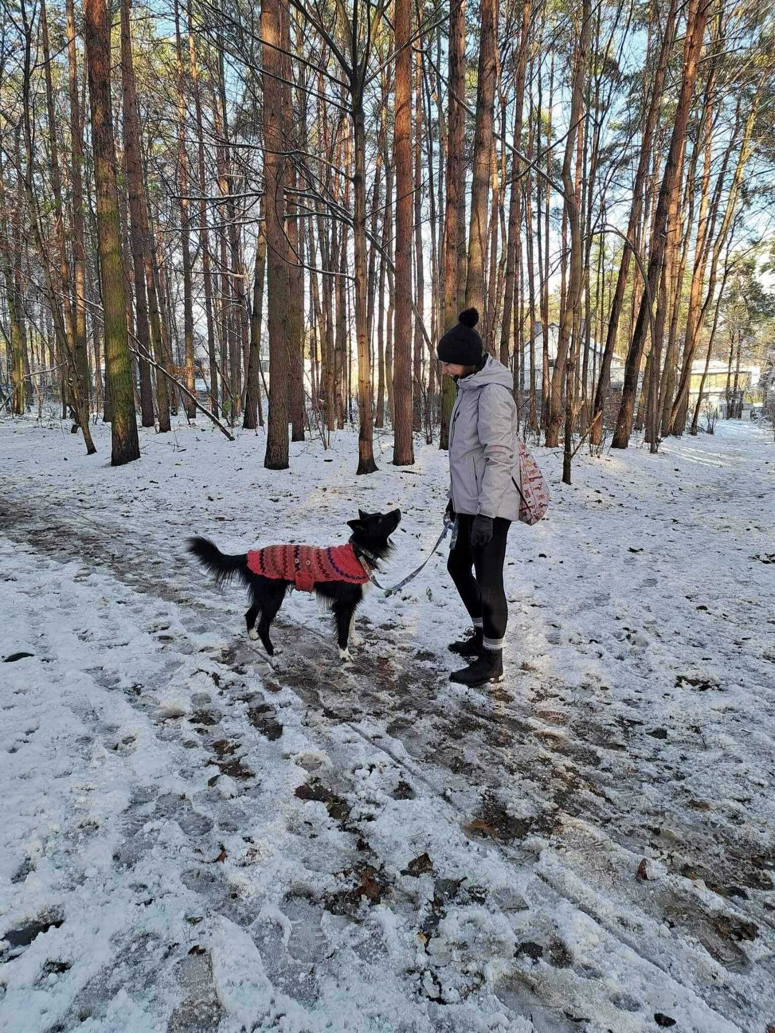 Magda, petsitter Petsy.pl - opieka od 35 zł, rabat 10% z kodem WROP10