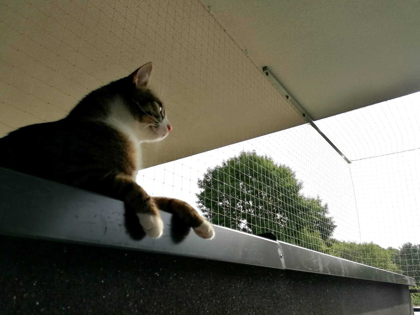 Siatka na balkon dla kota na gołębie o szer. 2,7x6m