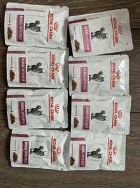 Royal canin Renal with beef 8szt