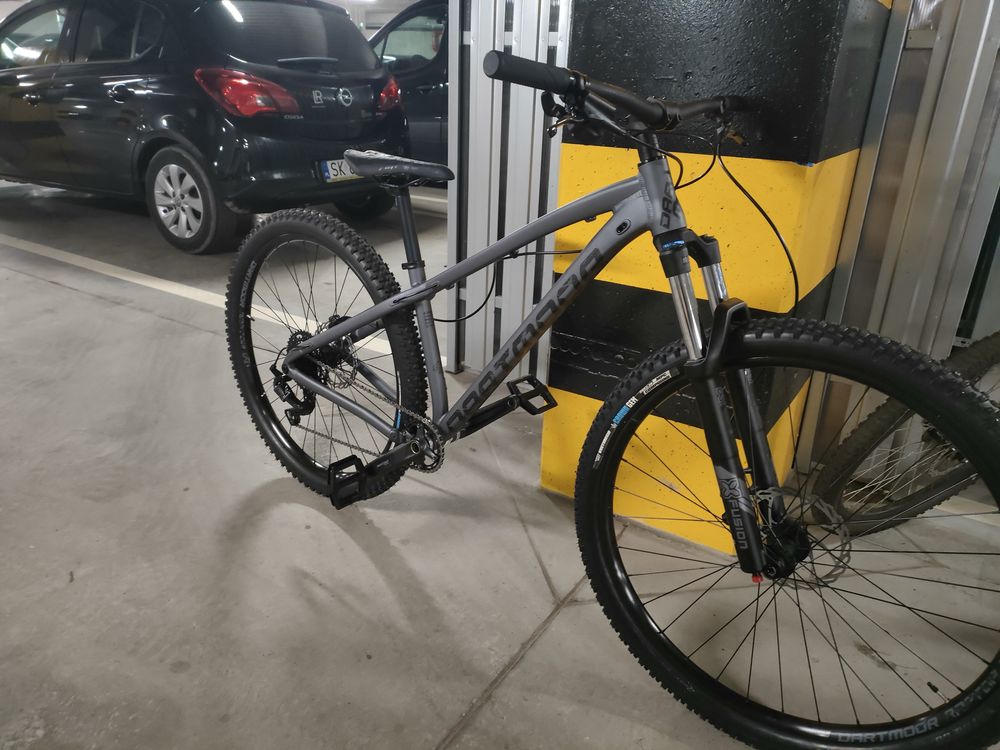 Dartmoor primal 29