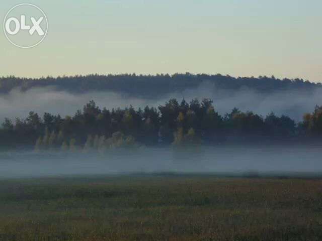 Zapraszamy na grzybobranie - Bory Tucholskie-domki