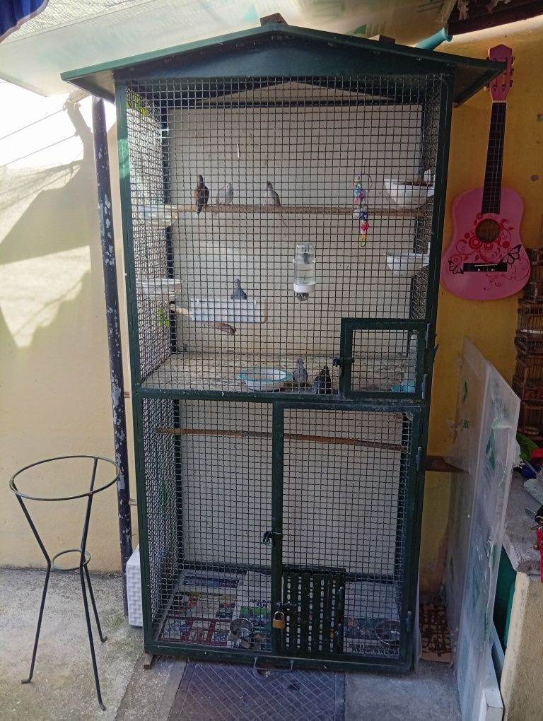Viveiro para qualquer tipo de pássaros em rede de malha quadrada