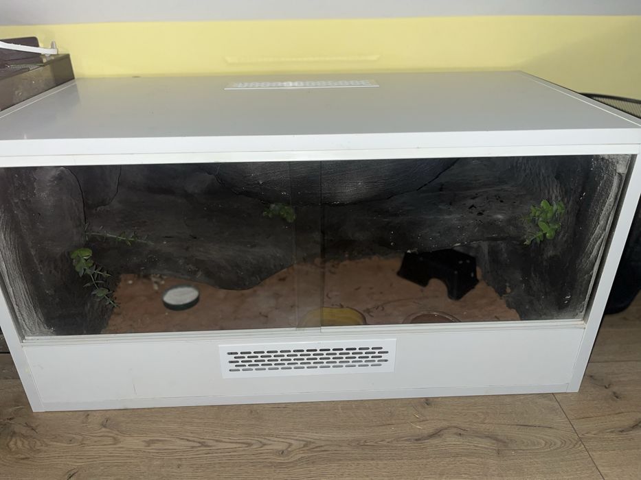 Terrarium z Płyty meblowej z gekonem lamparcim