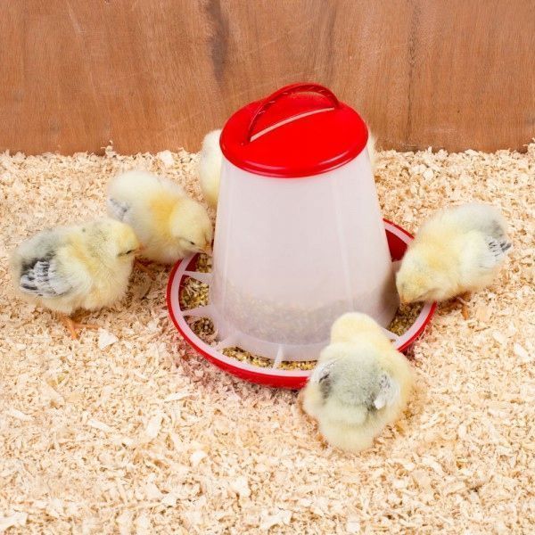 Karmnik Karmidło Zasypowe Z Uchwytem 3Kg Dla Drobiu Kur Kurcząt Gołębi