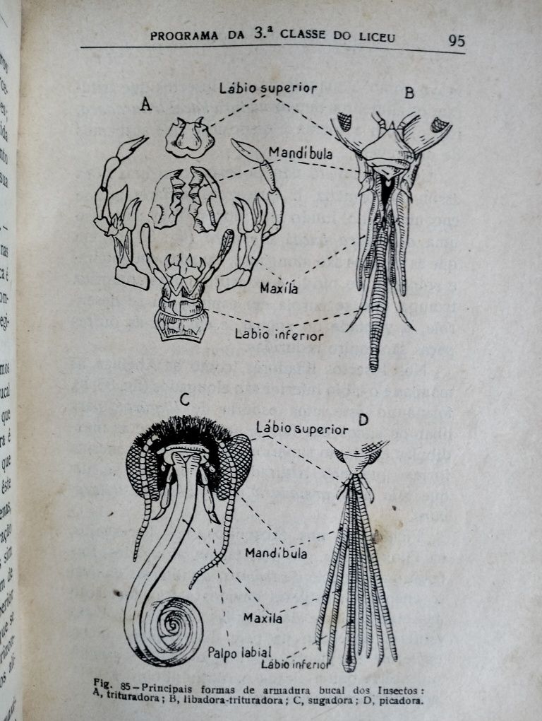 Livro Noções de Zoologia - 1934