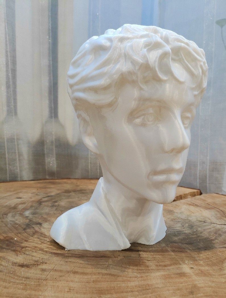 Personalizowana podobizna z druku 3D