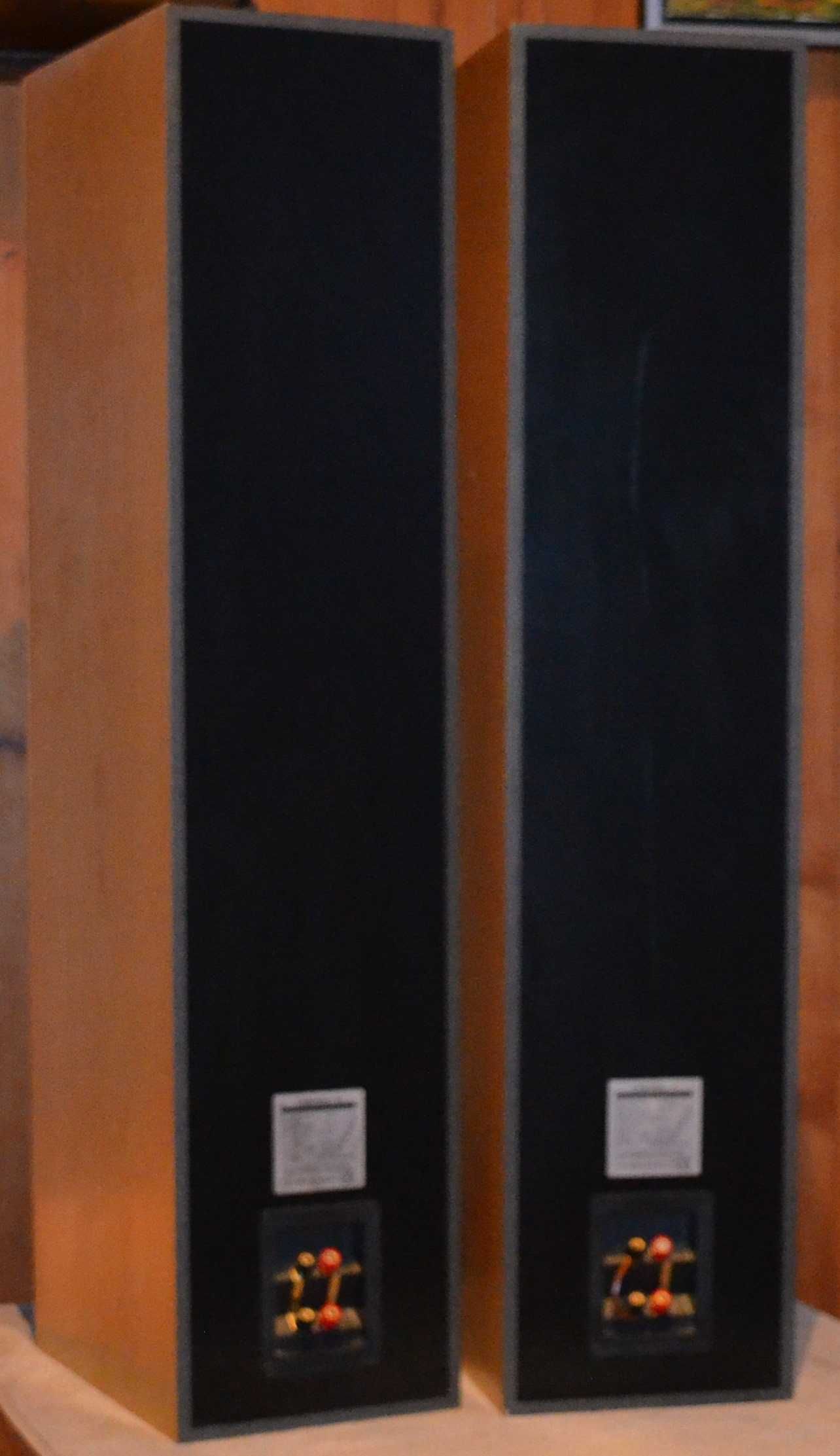 ASW Cantius V  Niemieckie Kolumny podłogowe 200w