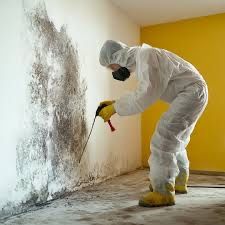 Дезінсекція від тарганів блох клопів, щурів мишей. Видалення плісняви