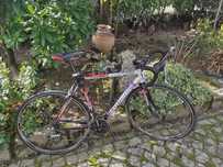 Corratec Race Tech Two Tam. 54