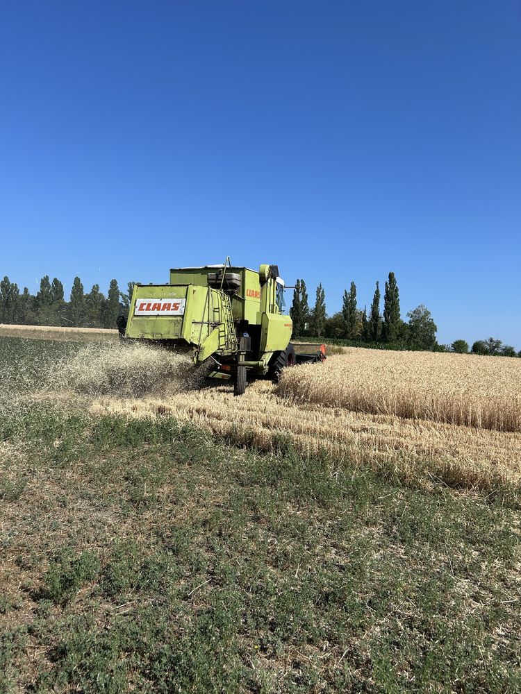 Claas dominator 85