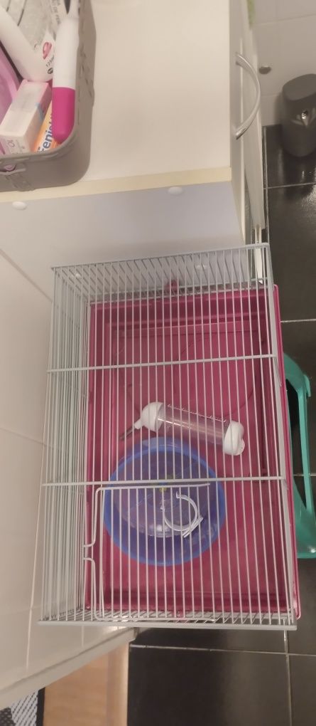 Gaiola hamster tamanho médio