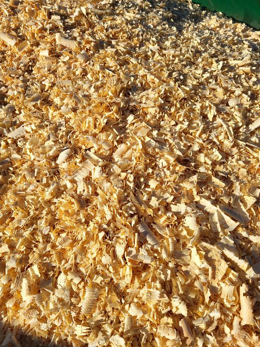 Grube trociny  suche