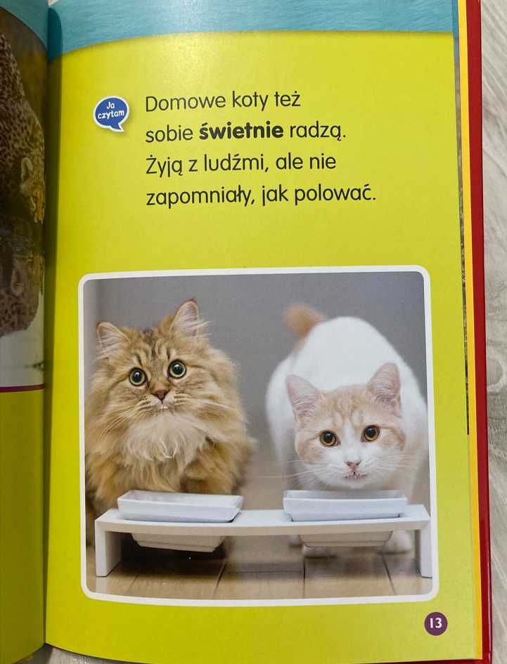 Koty. Nowa Książka. National Geographic.