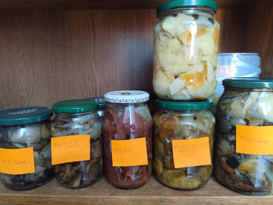 Grzybki marynowane różnego rodzaju