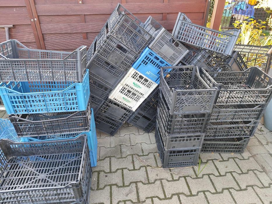 Skrzynki na owoce warzywa itp.