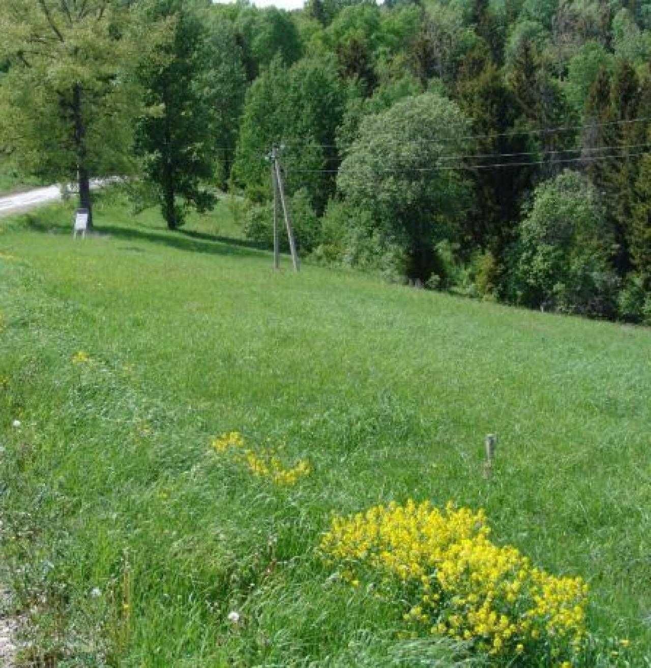 Продаж земельної ділянки, с. Тухолька
