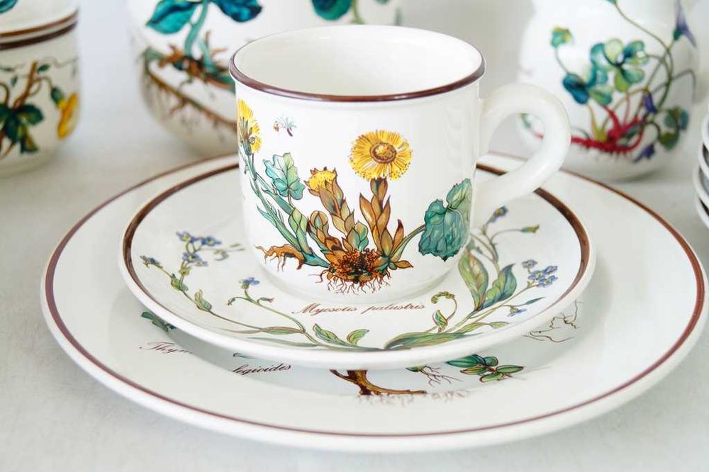 Villeroy Boch Botanica serwis do kawy 12 osób