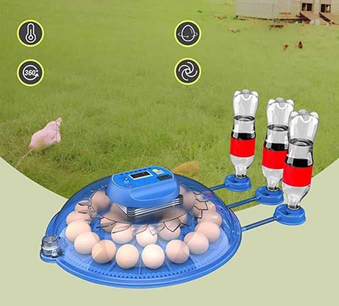 Inkubator automatyczny do jaj z ekranem LED - do 26 kurzych jaj