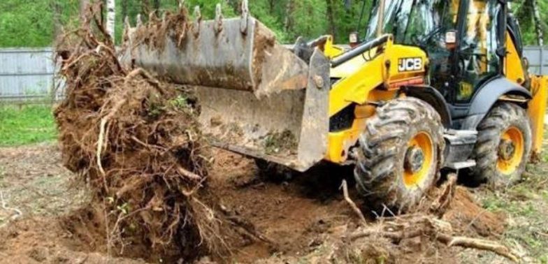 Корчуваня ділянок під ключ
