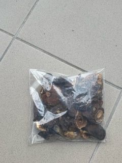 Spezedam suszone mieszane grzyby