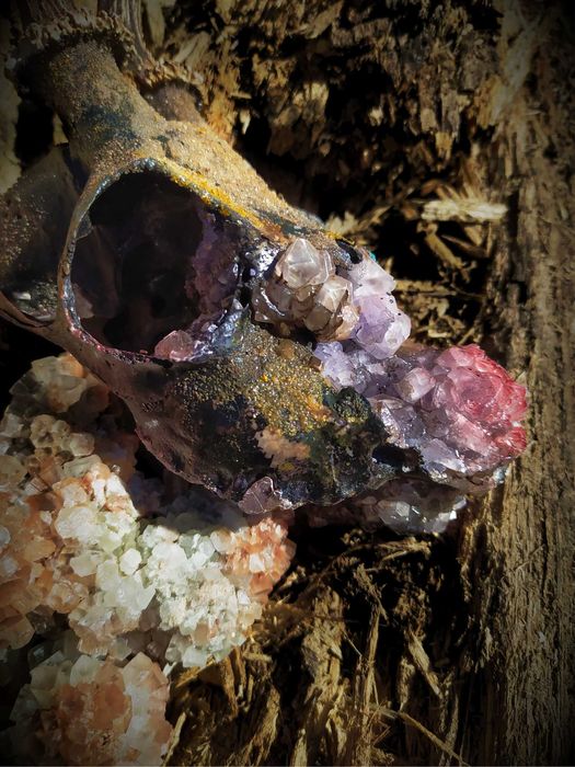 Czaszka sarny kryształy handmade