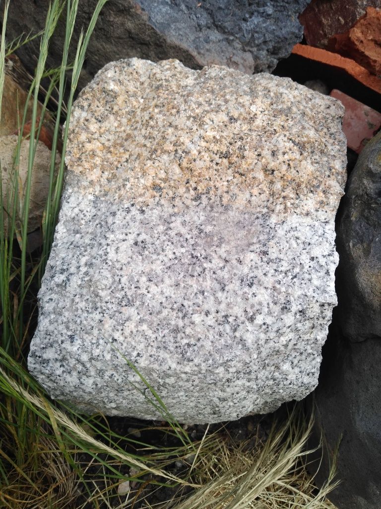 Oddam gruz za darmo