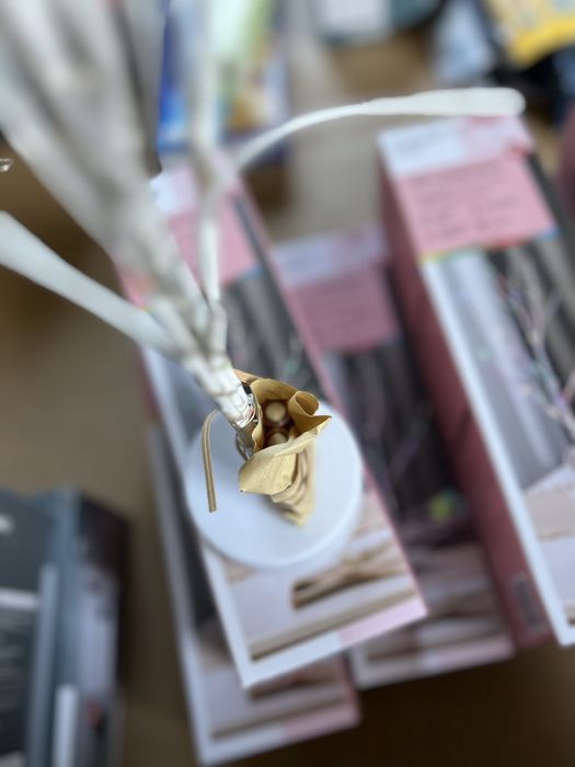 Декоративні деревцята Livarno