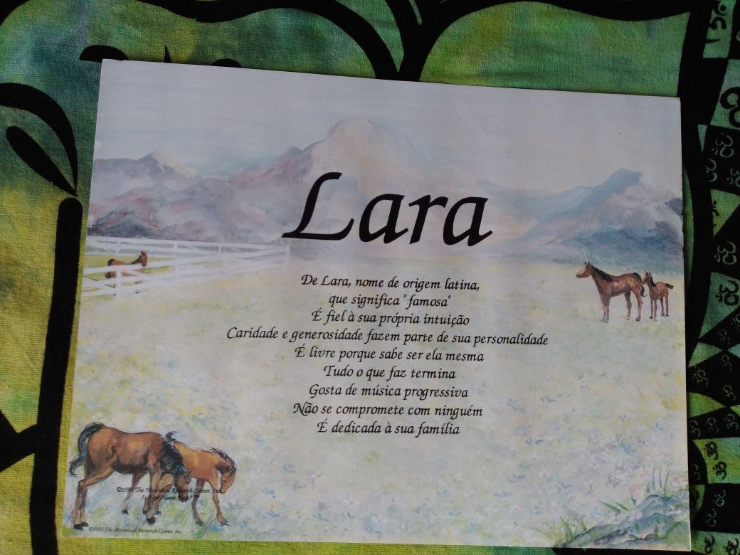 Quadro Significado do Nome